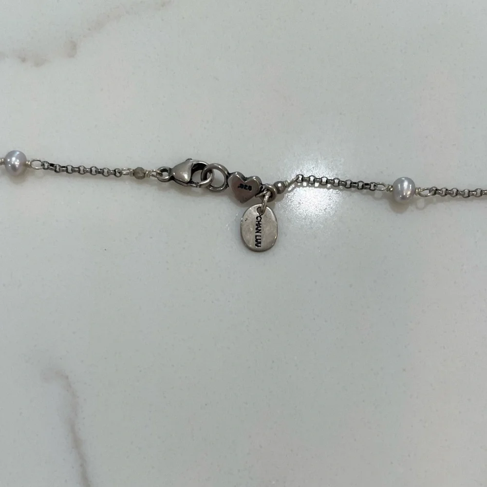 Chan Luu Sterling Silver and Labradorite Necklace - Picture 4 of 4